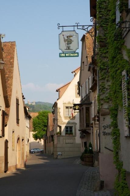 Bed and Breakfast Le Grenier Des Arômes Au Domaine Wittmann Mittelbergheim Exterior foto