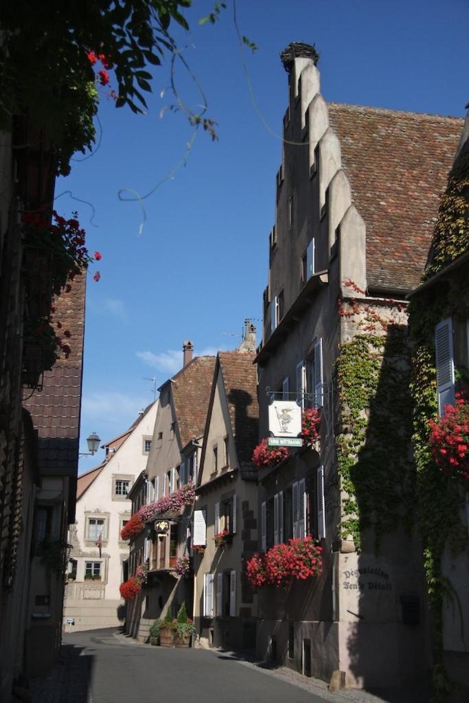 Bed and Breakfast Le Grenier Des Arômes Au Domaine Wittmann Mittelbergheim Exterior foto
