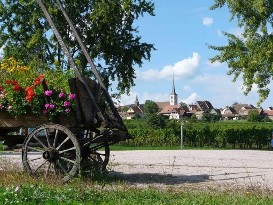 Bed and Breakfast Le Grenier Des Arômes Au Domaine Wittmann Mittelbergheim Exterior foto