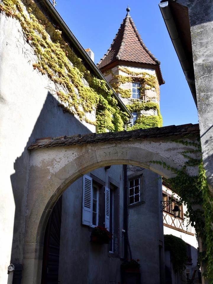 Bed and Breakfast Le Grenier Des Arômes Au Domaine Wittmann Mittelbergheim Exterior foto